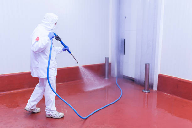 Professional Pressure Washing Services in Hackensack, NJ